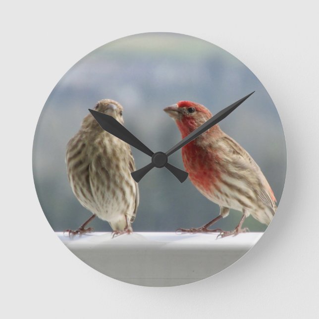 Two Finches Flirting.  Round Clock (Front)
