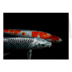 Two Fish
