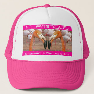 Two Flamingo Heads - (Hat) Trucker Hat