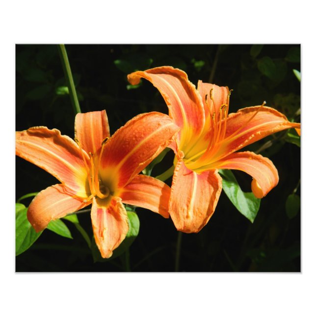 Two Flowers Photo Print (Front)