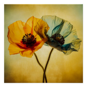 Two Flowers Poster