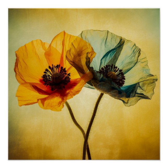 Two Flowers  Poster (Front)