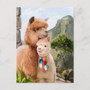 Two fluffy alpacas on the background of the lake postcard