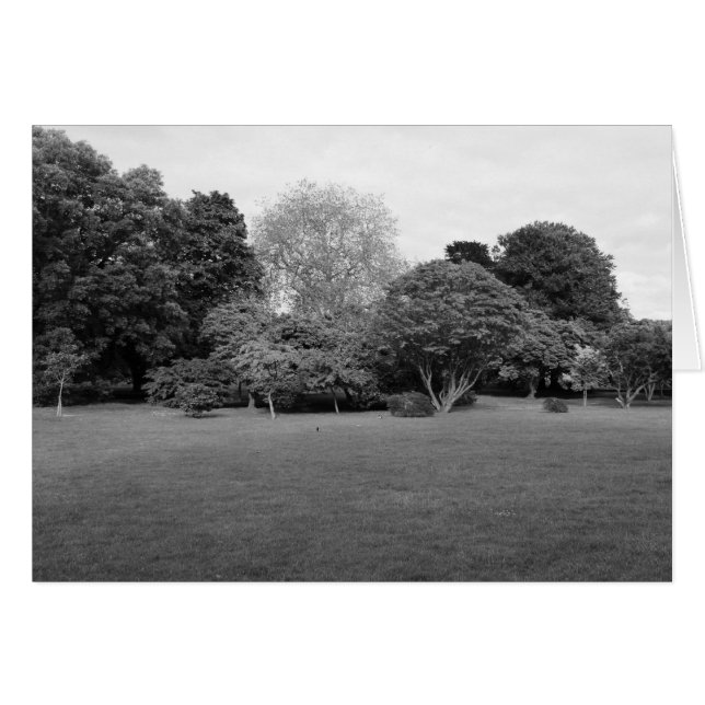 Two for Joy (Front Horizontal)