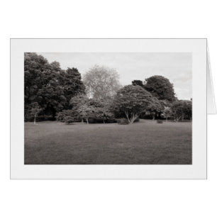 Two for Joy (Warm Toned BW Bordered)
