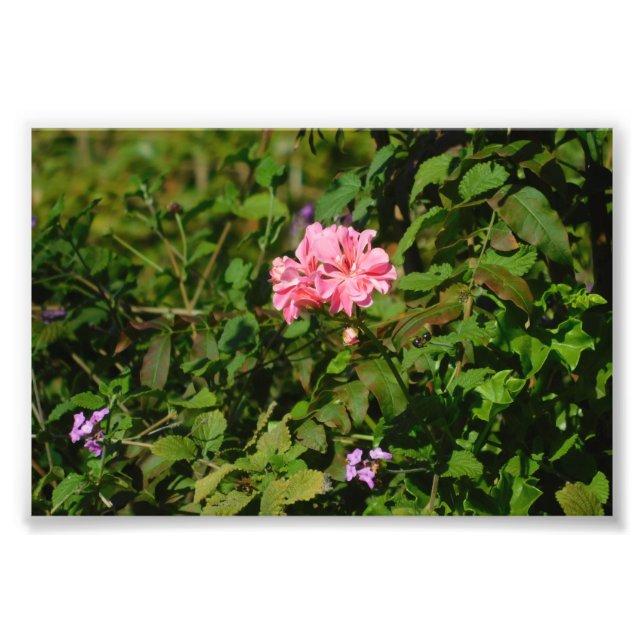 Two For One Photo Print (Front)