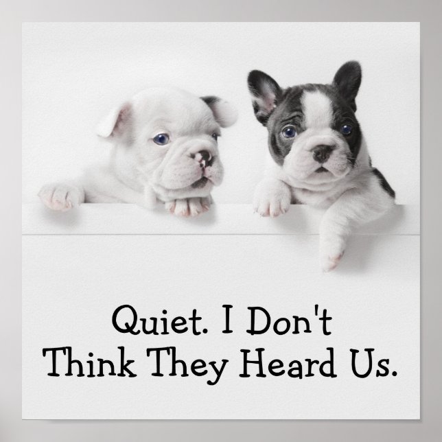 Two French Bulldog Puppies Peer Over A Wall Poster (Front)