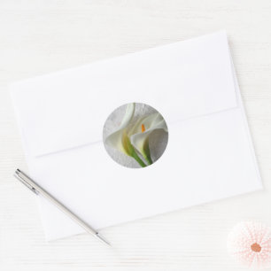 Two fresh calla lilies classic round sticker