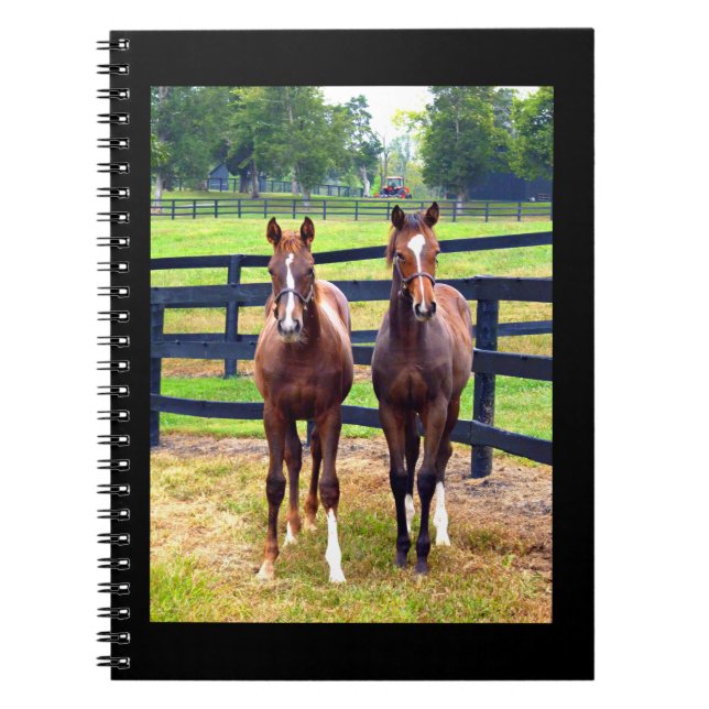 Two Friends Notebook (Front)