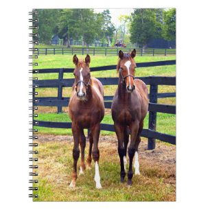 Two Friends Notebook