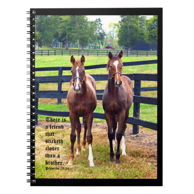 Two Friends with Proverbs 18:24 Notebook (Front)