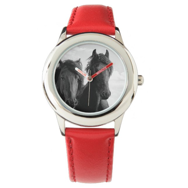 Two Friesian stallions. Watch (Front)
