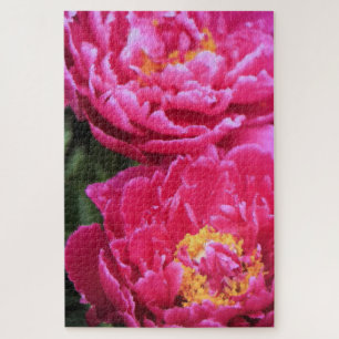 Two Fuchsia Peony Blooms Painting Jigsaw Puzzle