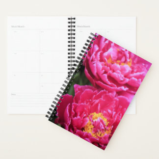 Two Fuchsia Peony Blooms Painting Planner