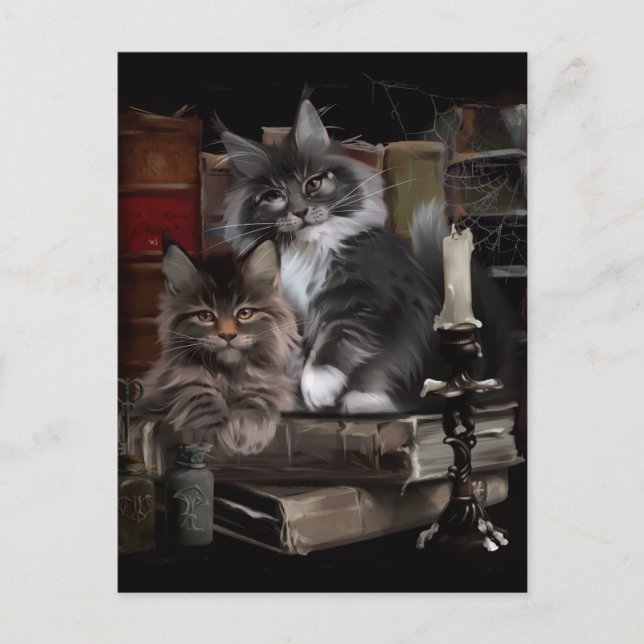Two furry Maine Coon kittens Postcard (Front)