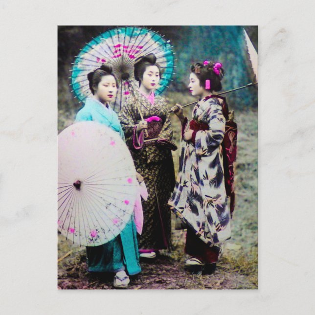 Two Geisha and a Maiko and Parasols Old Japan Postcard (Front)