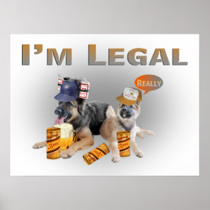 Two German Shepherd Legal Beer Drinkers Poster