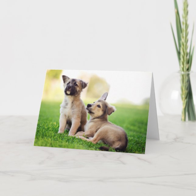 Two German Shepherd Puppies Card (Front)