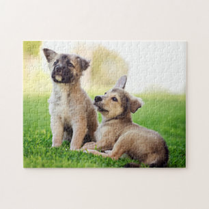 Two German Shepherd Puppies Jigsaw Puzzle