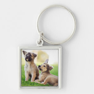 Two German Shepherd Puppies Key Ring