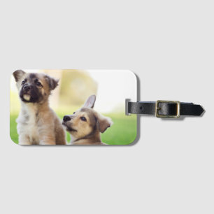 Two German Shepherd Puppies Luggage Tag