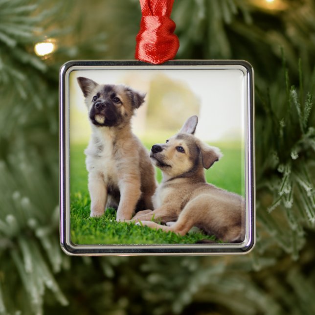Two German Shepherd Puppies Metal Ornament (Tree)