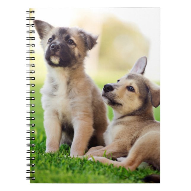 Two German Shepherd Puppies Notebook (Front)
