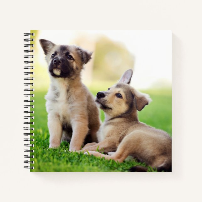 Two German Shepherd Puppies Notebook (Front)