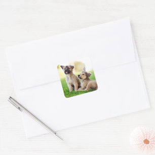 Two German Shepherd Puppies Square Sticker