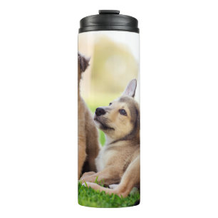 Two German Shepherd Puppies Thermal Tumbler