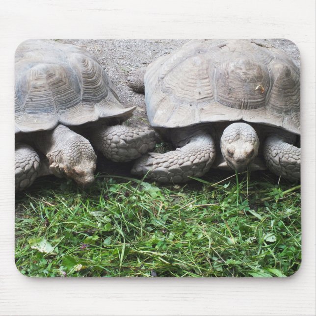 Two giant tortoises mouse pad (Front)
