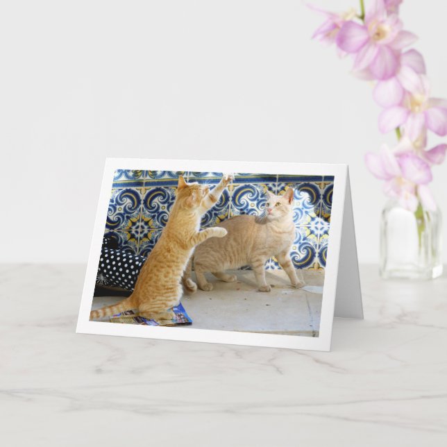 Two Ginger Cats Playing Card (Orchid)