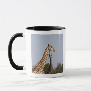 Two Giraffe,  Kruger National Park, South Africa Mug