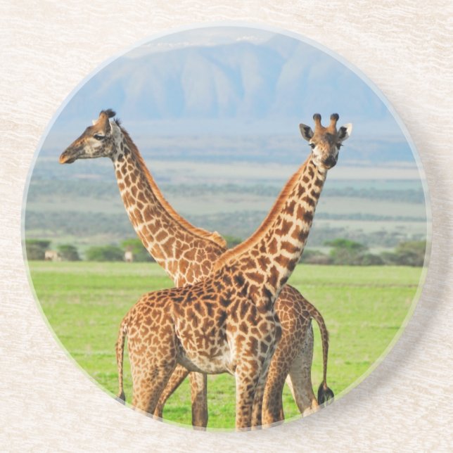 Two Giraffes Coaster (Front)