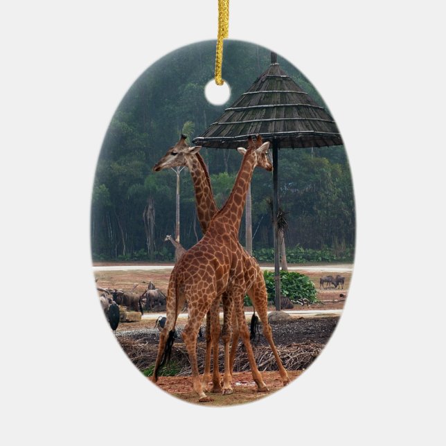 Two giraffes comforting each other in a zoo ceramic ornament (Front)