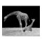 Two Giraffes in Black and White Poster