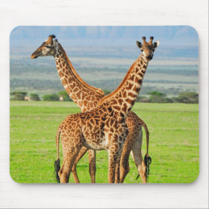 Two Giraffes Mouse Pad