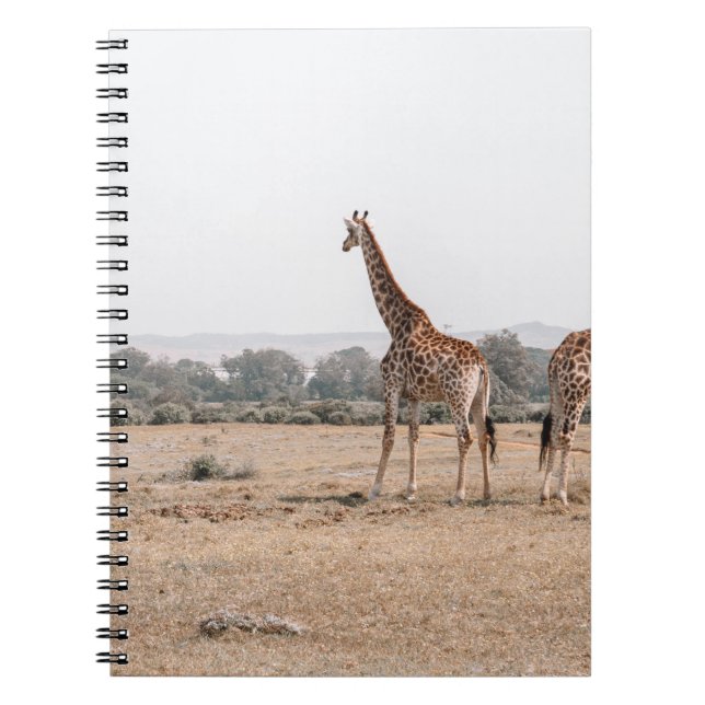 TWO GIRAFFES NOTEBOOK (Front)