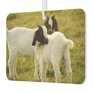 Two Goats Car Air Freshener