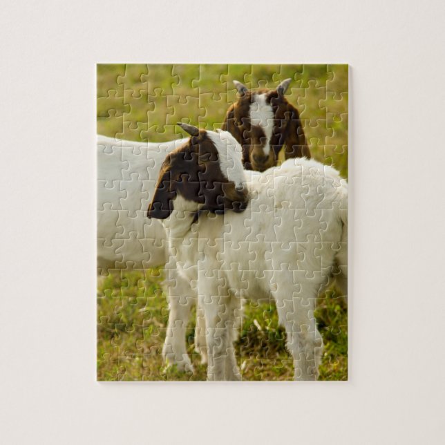 Two Goats Cute Brown White Jigsaw Puzzle (Vertical)