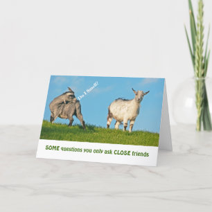 "TWO GOATS"  HUMOR / FRIENDSHIP CARD