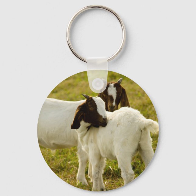 Two Goats in a Grassy Field Key Ring (Front)
