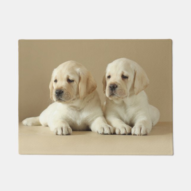 Two Golden Labrador Puppies Doormat (Front)