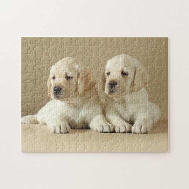 Two Golden Labrador Puppies Jigsaw Puzzle (Horizontal)