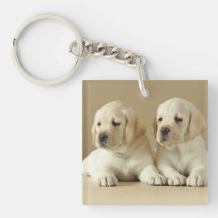 Two Golden Labrador Puppies Key Ring