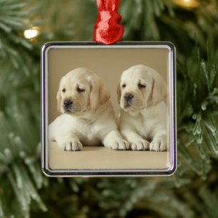 Two Golden Labrador Puppies Metal Ornament
