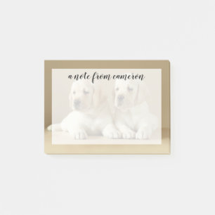 Two Golden Labrador Puppies Post-it Notes