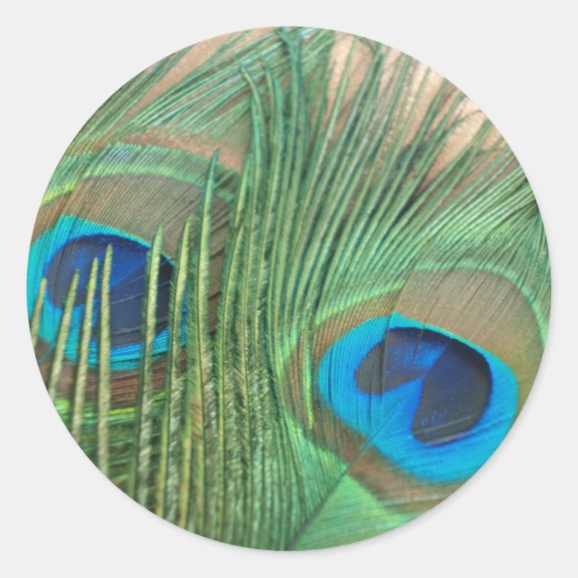 Two Golden Peacock Feather Stickers (Front)