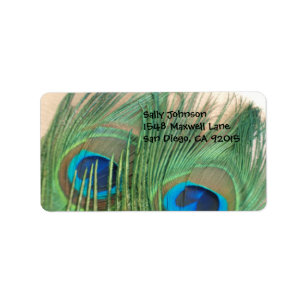 Two Golden Peacock Feathers Address Labels
