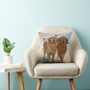Two Golden Retrievers Carrying a Stick Cushion